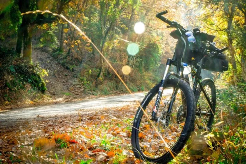 Rower trekkingowy czy górski?